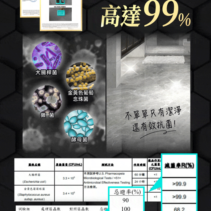 (現貨|全港免運) 家事女王 - Housework Queen 植萃驅蟲地板清潔劑 驅蟑螂螞蟻 (1L/1000ml)