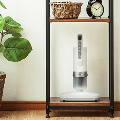 (現貨|全港免運) Iris Ohyama - IC-FAC11 (FAC3最新版) 超輕量除塵蟎吸塵機 僅重1.6kg【香港行貨|1年保養】